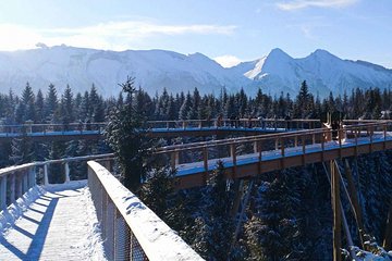 Full-Day Tour of Zakopane and Slovakia Treetop from Krakow