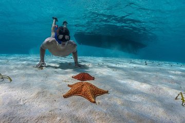 Snorkeling adventure through 'El Cielo' Cozumel. Included Food & Transportation