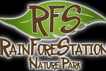 Private Tour: Kuranda Rainforest (Skyrail and Railway)