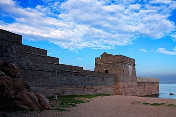 Shanhanguan Great Wall and Old Dragon's Head Private Day Tour from Beijing