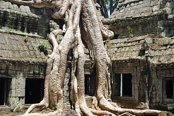  Private Tuk Tuk Tour to Angkor Wat and Small Circle with Two Extras