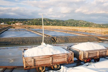 Skocjan caves & Secovlje salt pans | Private off cruise excursion from Koper