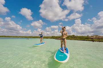 Lagoon Paddleboarding Tour in Tulum