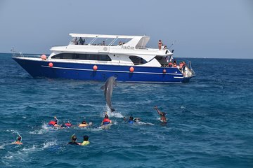 Dolphin House and Banana Boat Fun from Hurghada