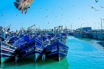 Marrakech to Essaouira Private Full-Day Tour with Lunch