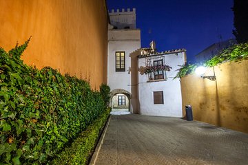 Flamenco show and night route through the Jewish quarter of Seville.