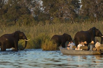 Full-Day Zambezi River Canoeing Experience with Pickup