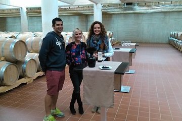 Ribera del Duero Small Group Tour: Tapas & Wine Tasting 