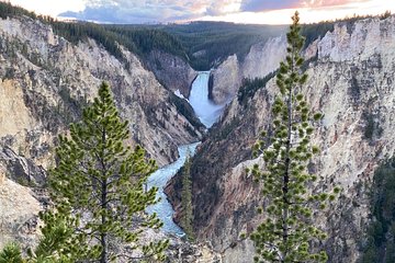 VIP Private Boutique Tour of Yellowstone's Upper Loop - West Yellowstone, MT