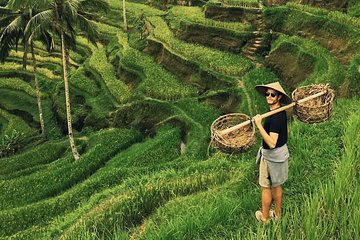 Ubud Sightseeing, Holy Water Temple & Waterfall