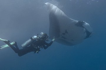 Open Water Diver Certification OWD