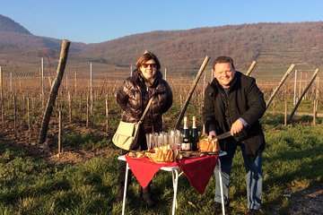 Alsace Private Tailored Tour in a Tesla with a Local