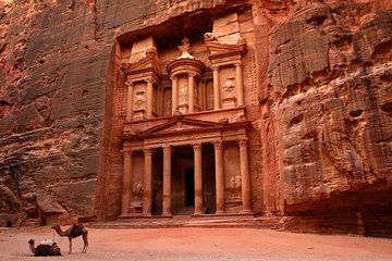 Petra Tour from Sharm by Cruise