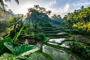 Private Romantic Tour in Ubud with Guide