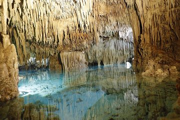 Cenotes and Paradise Lagoon