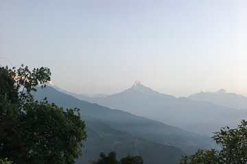 Half day trek to Dhampus