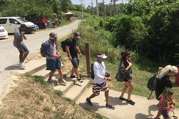 Private Ocho Rios Highlights Tour with Pickup
