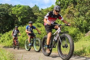 Private Tour : West Coast Nature E-bike with Wildlife & Darling Brew 
