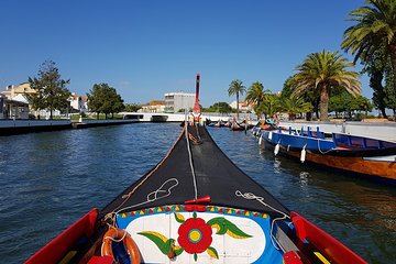 Aveiro & Costa Nova Private Full-day Tour