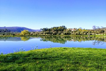 Hidden Charms: Private Nature Expedition in Serra dos Candeeiros