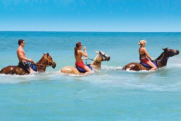 Private Transfer to Beach Horse Back Ride and Swim