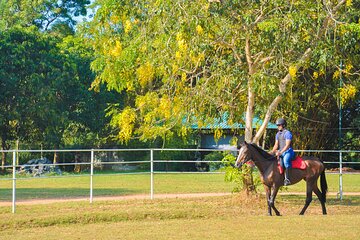 Horse Riding for Professionals from Sigiriya