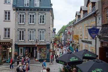 Montreal City Sightseeing Tour with Live Commentary