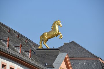 1 Hour Private Guided Tour: Landesmuseum Mainz