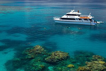 Poseidon Outer Great Barrier Reef Snorkeling and Diving Cruise from Port Douglas