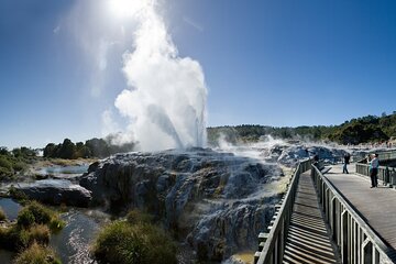 Private Tour to Te Puia, Hangi Buffet Lunch &Cultural Performance