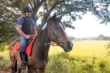 Horse Ride around a Village from Sigiriya