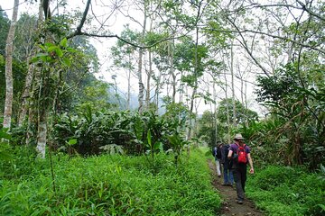 1-day Explore Cuc Phuong National Park from Hanoi