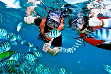Snorkeling from Unawatuna