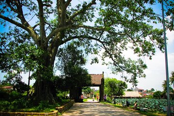 1-day Discover Duong Lam Ancient Village and the rural life of Hanoi 