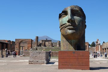 Private Tour of Pompeii half day with Mercedes Sedan and Guide