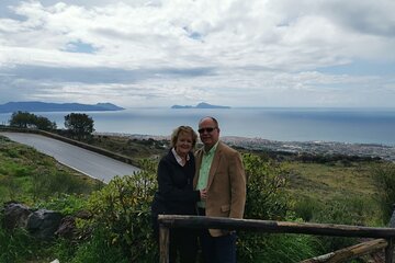 Pompeii SkipTheLine and Mt Vesuvius with Lunch&WineTasting from Naples Port