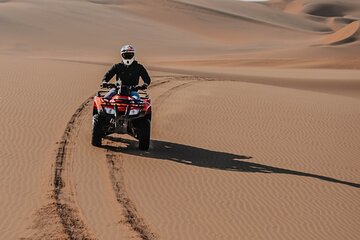 Quad Bike Tour (90min)