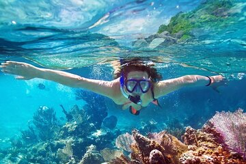 Snorkeling in Bar Reef Marine Sanctuary