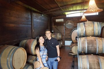 Wine tasting in the Vesuvius National Park