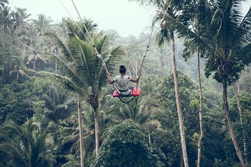 Best of Ubud with Jungle Swing Tour