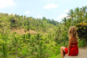 Best of Bali in 3 Days - Private Tour Package