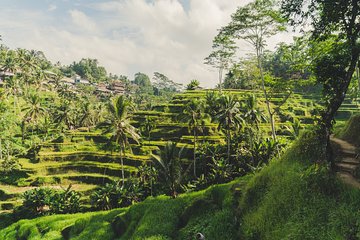 Best of Bali Traditional Village Sightseeng Tour include Lunch