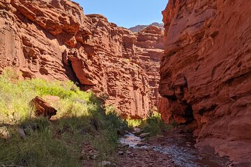 Moab's Slot Canyon Hike: Refreshingly Cool Summer Creek Adventure