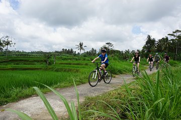 Kintamani Cultural and Nature Cycling Tour