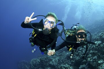 Introduction into diving (half day, 2 dives, no cert)