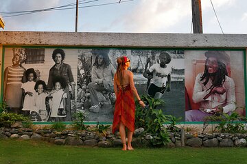 Bob Marley Museum Full Day Tour from Montego bay