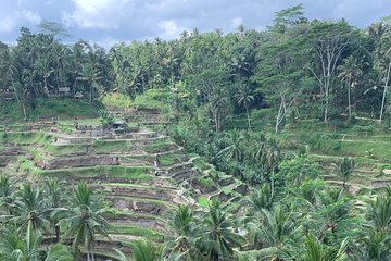 Best of Ubud & Mount Batur Volcano Private Bali Tour