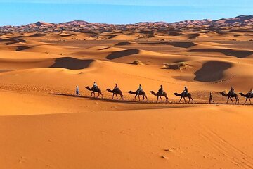 Morocco Camel treks experiences 2 nghits in Erg Chabbi desert