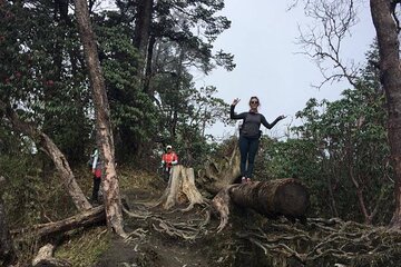 Two days one night Ghandruk gurung culture trek