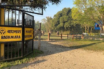 Chitwan Safari for 2 Nights 3 Days 